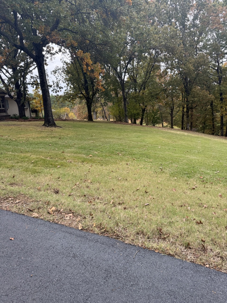 Routine Lawn Maintenance in Taylor MS